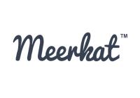 Meerkat image 3